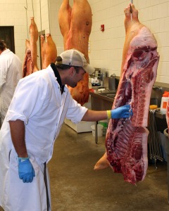 meats lab 1